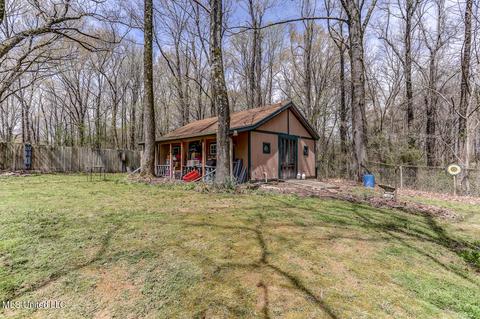 6450 River Birch Rd, Walls, MS 38680 photo 25