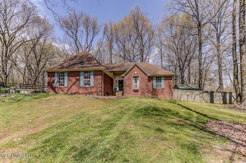 6450 River Birch Rd, Walls, MS 38680 photo 4