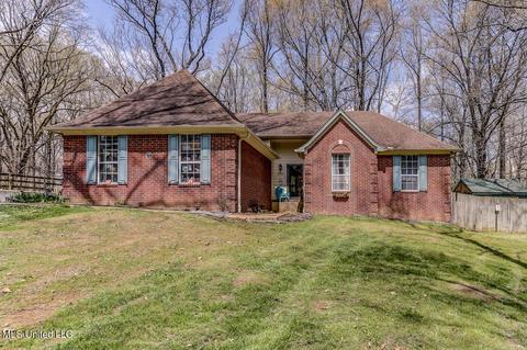 6450 River Birch Rd, Walls, MS 38680 photo 1