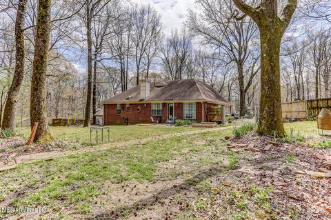 6450 River Birch Rd, Walls, MS 38680 photo 23