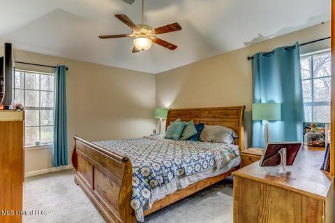 6450 River Birch Rd, Walls, MS 38680 photo 18