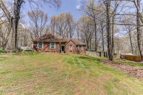 6450 River Birch Rd, Walls, MS 38680 photo 3