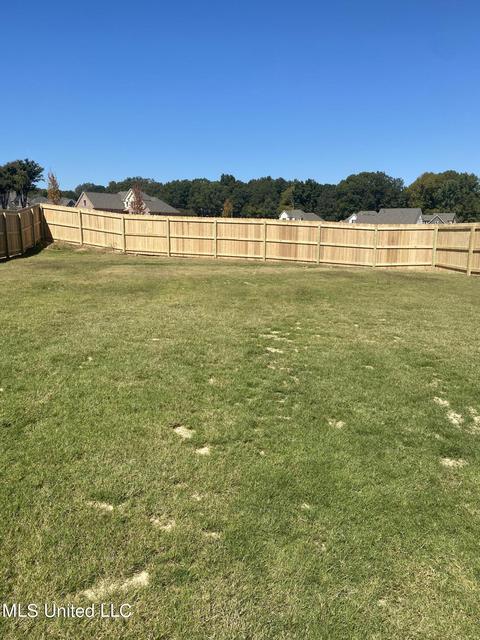 6952 Silver Cloud Cv, Olive Branch, MS 38654 photo 21