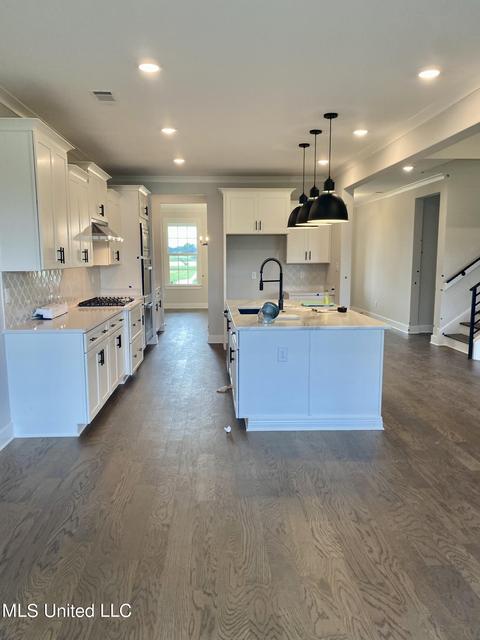 6952 Silver Cloud Cv, Olive Branch, MS 38654 photo 8
