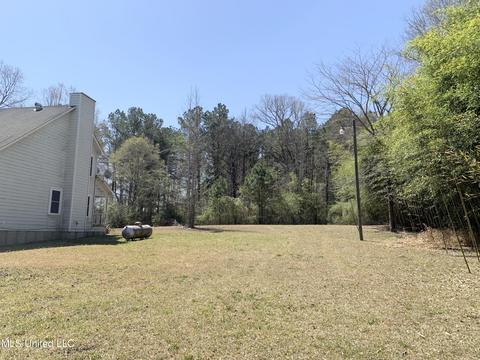 986 Heed Neely Rd, Braxton, MS 39044 photo 21