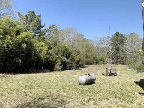 986 Heed Neely Rd, Braxton, MS 39044 photo 17