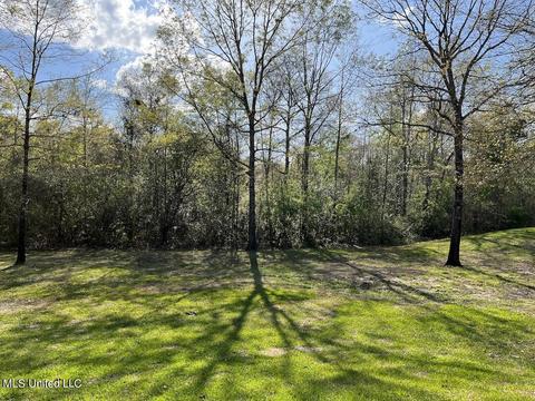 20 Boone Rd, Perkinston, MS 39573 photo 60