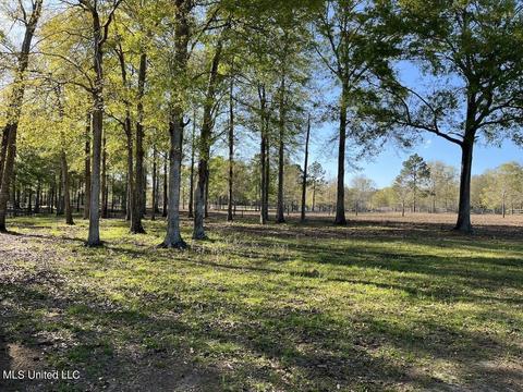 20 Boone Rd, Perkinston, MS 39573 photo 63