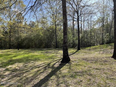 20 Boone Rd, Perkinston, MS 39573 photo 55