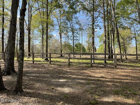 20 Boone Rd, Perkinston, MS 39573 photo 57