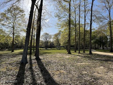 20 Boone Rd, Perkinston, MS 39573 photo 64