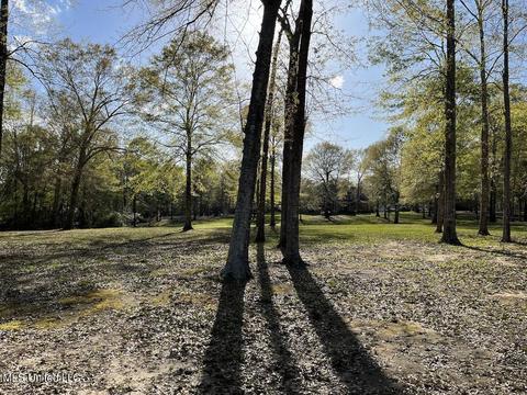 20 Boone Rd, Perkinston, MS 39573 photo 65