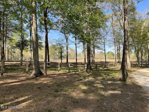 20 Boone Rd, Perkinston, MS 39573 photo 54