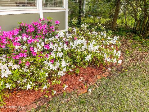 4110 Seminole Ave, Jackson, MS 39216 photo 18