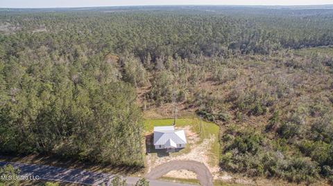 25175 Old Americus Rd, Lucedale, MS 39452 photo 19