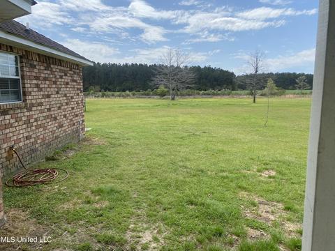 24813 Pine Rd, Lucedale, MS 39452 photo 17