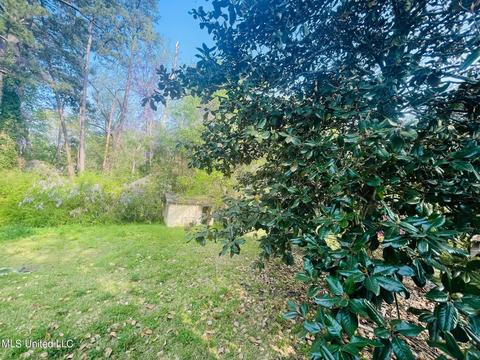 401 Circle Dr, Mendenhall, MS 39114 photo 14