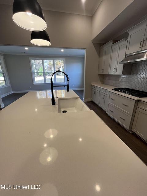 6958 N Sunrise Loop, Olive Branch, MS 38654 photo 16