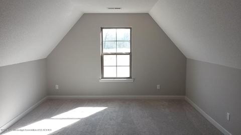 7790 Melisa Dr, Walls, MS 38680 photo 37
