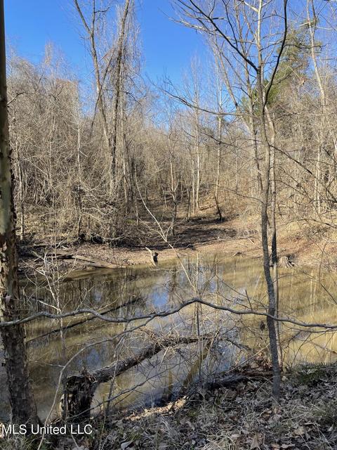 Cox Ferry Road, Flora, MS 39071 photo 8