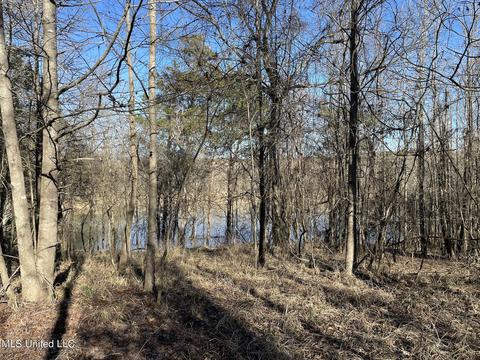 Cox Ferry Road, Flora, MS 39071 photo 20