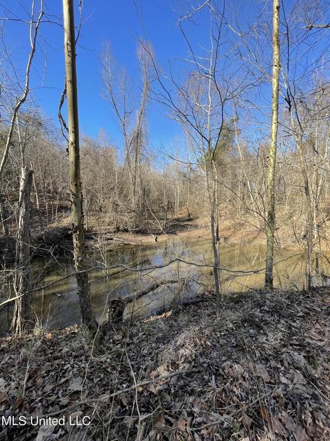 Cox Ferry Road, Flora, MS 39071 photo 9