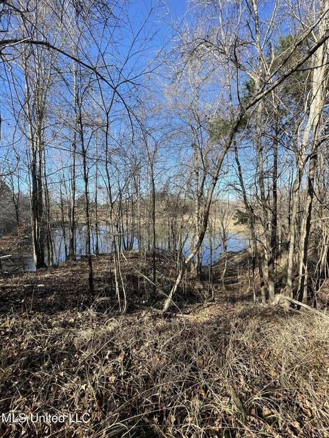 Cox Ferry Road, Flora, MS 39071 photo 1