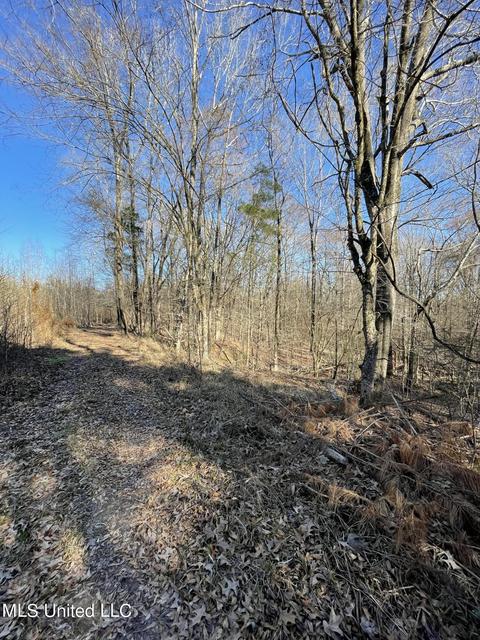 Cox Ferry Road, Flora, MS 39071 photo 4