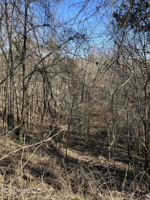 Cox Ferry Road, Flora, MS 39071 photo 12