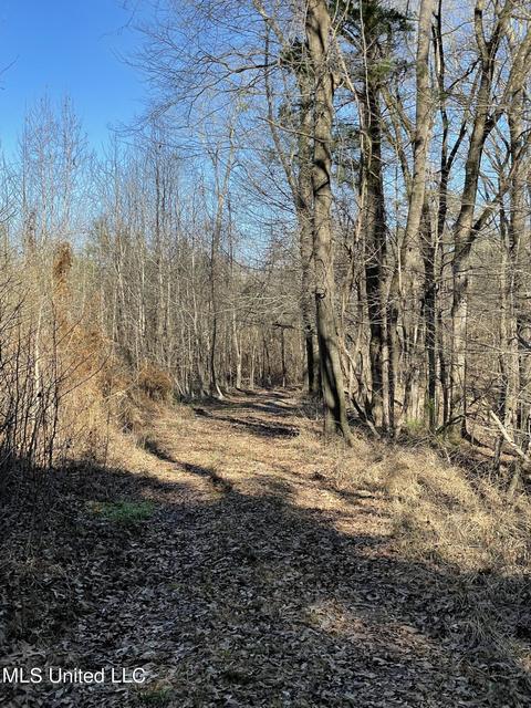 Cox Ferry Road, Flora, MS 39071 photo 2