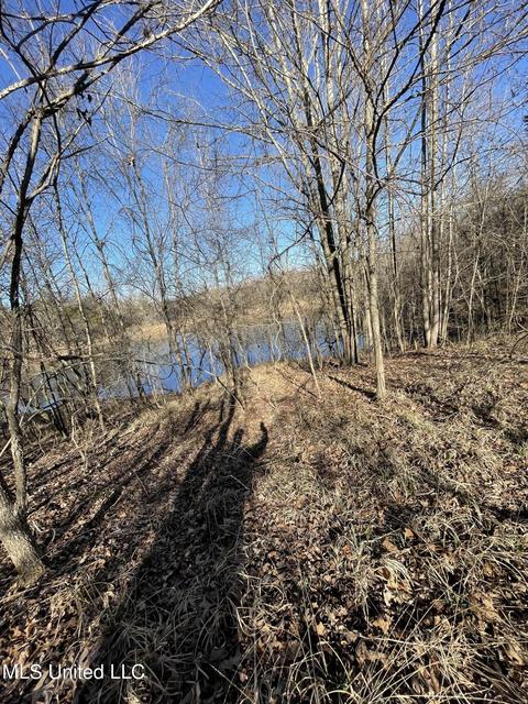 Cox Ferry Road, Flora, MS 39071 photo 16