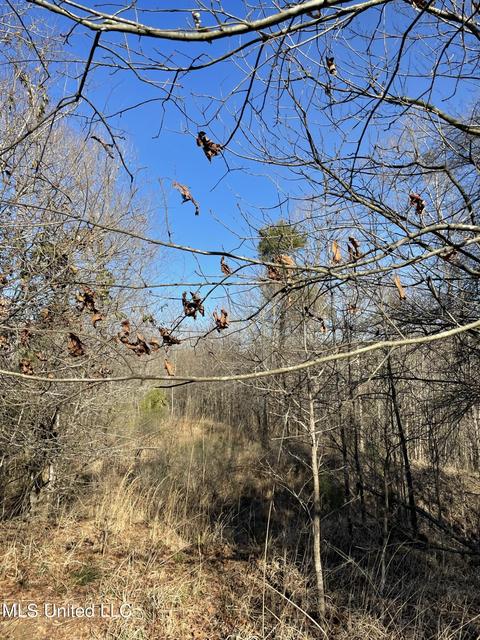 Cox Ferry Road, Flora, MS 39071 photo 14