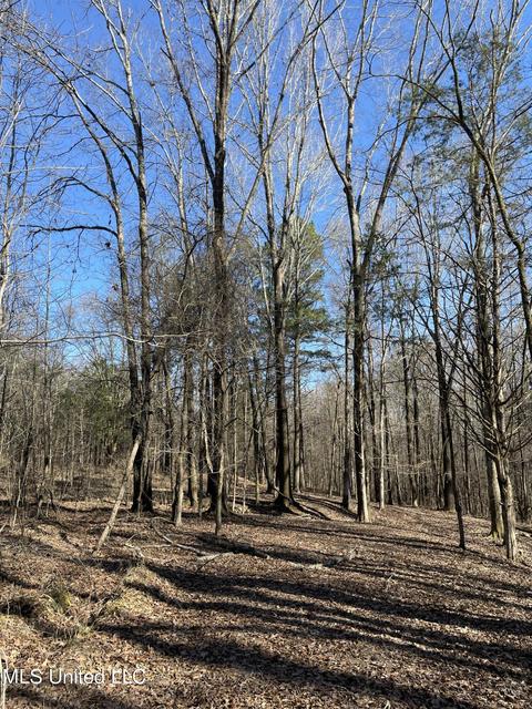 Cox Ferry Road, Flora, MS 39071 photo 5