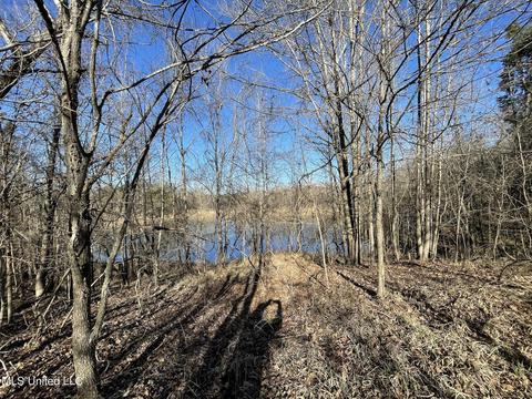 Cox Ferry Road, Flora, MS 39071 photo 17