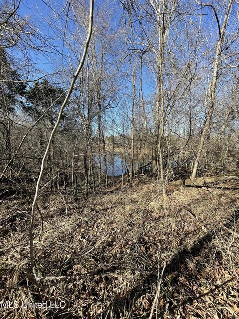 Cox Ferry Road, Flora, MS 39071 photo 10