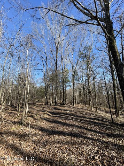Cox Ferry Road, Flora, MS 39071 photo 6