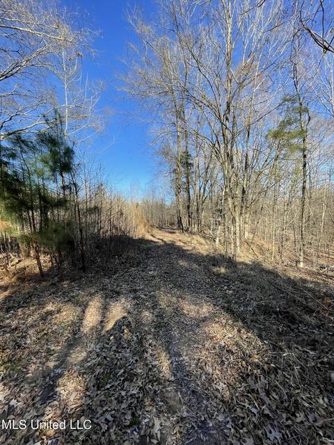 Cox Ferry Road, Flora, MS 39071 photo 3