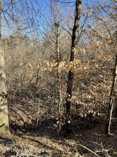 Cox Ferry Road, Flora, MS 39071 photo 7