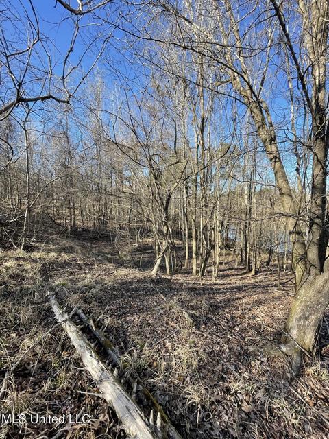 Cox Ferry Road, Flora, MS 39071 photo 18
