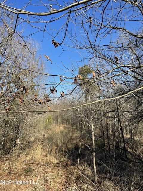 Cox Ferry Road, Flora, MS 39071 photo 13