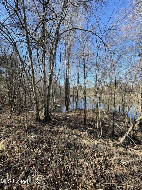Cox Ferry Road, Flora, MS 39071 photo 11