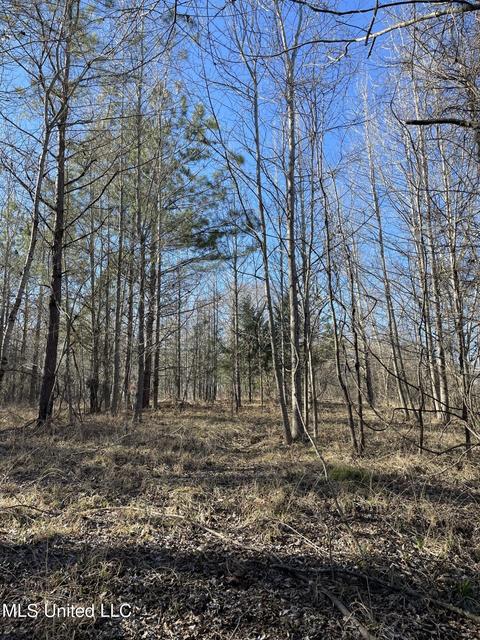 Cox Ferry Road, Flora, MS 39071 photo 19