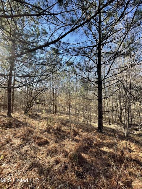 Cox Ferry Road, Flora, MS 39071 photo 21