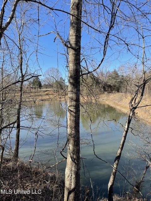 Cox Ferry Road, Flora, MS 39071 photo 15
