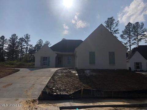 101 Herons Bay Cir, Madison, MS 39110 photo 1