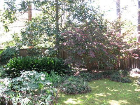 925 Newland St, Jackson, MS 39211 photo 7