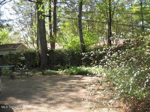 925 Newland St, Jackson, MS 39211 photo 9