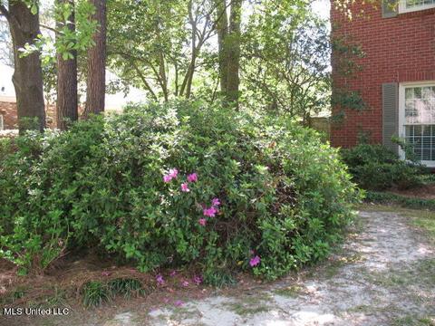925 Newland St, Jackson, MS 39211 photo 2