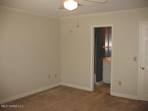 925 Newland St, Jackson, MS 39211 photo 35