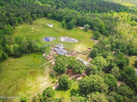 1162 Us-98, Lucedale, MS 39452 photo 28